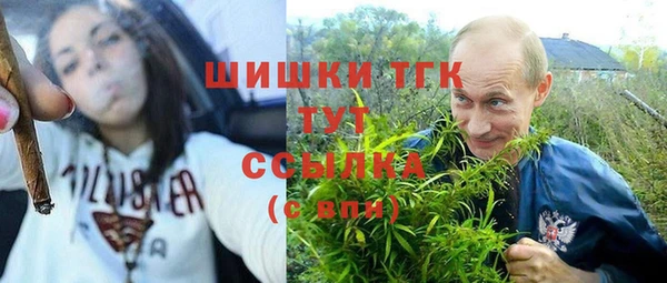 ешки Алексеевка