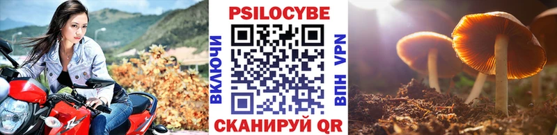 Псилоцибиновые грибы прущие грибы Саянск