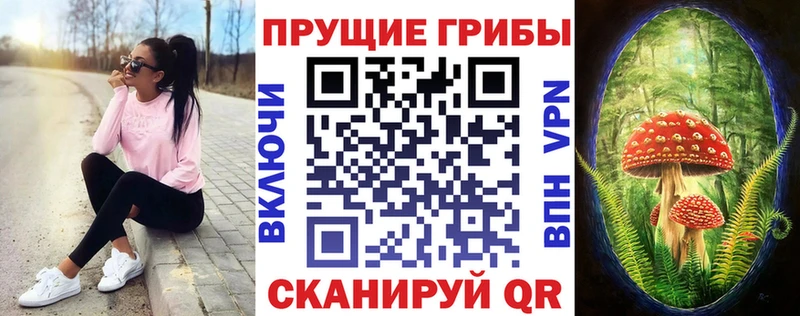 Галлюциногенные грибы Cubensis  Саянск 